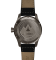 Startimer Pilot Automatic