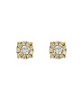 Puces Diamants