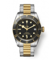 Tudor Black Bay S&G 79733N