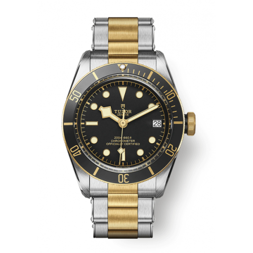 Tudor Black Bay S&G 79733N