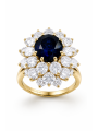 Birman & diamants [occasion]