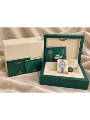 Rolex Lady-Datejust Platinum 279136RBR